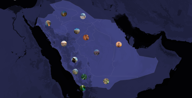 saudi Screen Shot 2023-12-04 at 4.01.44 PM.png