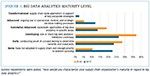 [Figure 1] Big data analytics maturity level