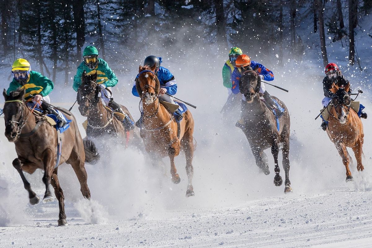 competition horse race