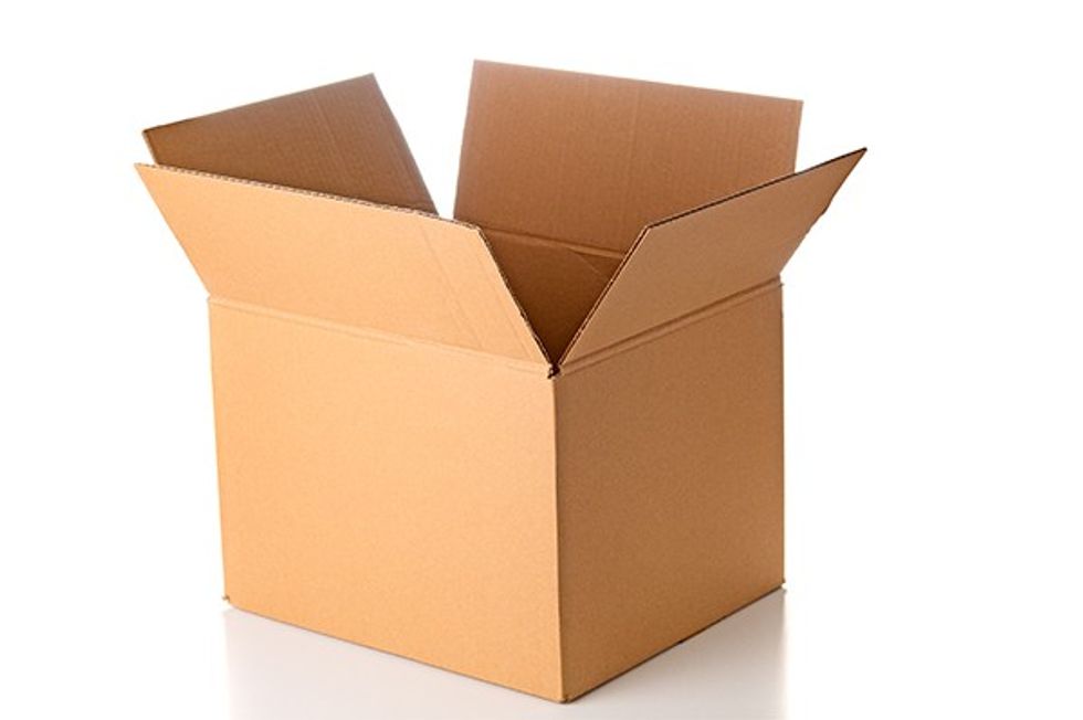 Abandoning the Brown Box: Embracing Sustainability in the Supply Chain 