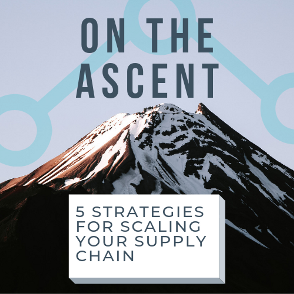 Omnichain™ Offers Five Strategies for Scaling Supply Chains and Effectively Managing Growth